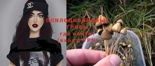 МДПВ Похвистнево