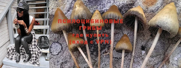 прущие крисы Новокубанск