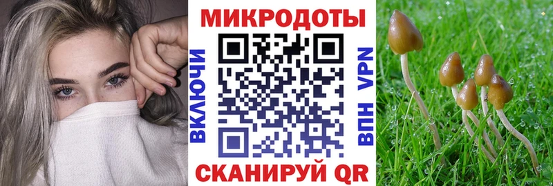 blacksprut ONION  Серафимович  Псилоцибиновые грибы Psilocybine cubensis 